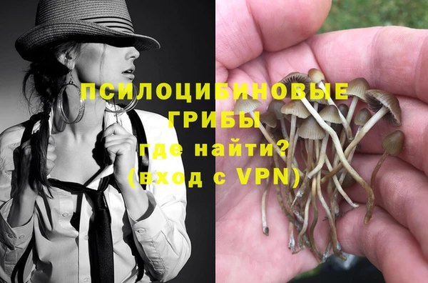 дмт Алзамай