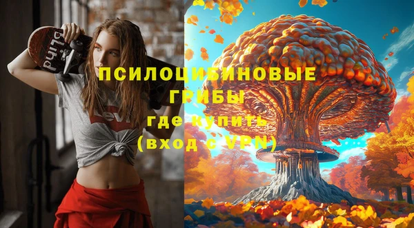 спиды Алексеевка